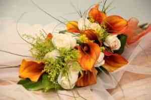 vi_36899_2285969_608286