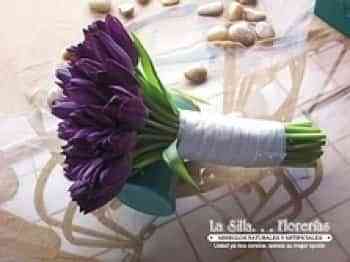 vi_37307_2347330_618660 vi_37307_2347330_618660