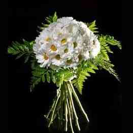 vi_70481_2316488_851033