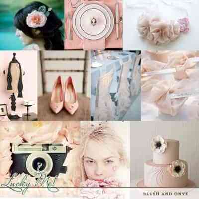 rosa rosa e1288281597464