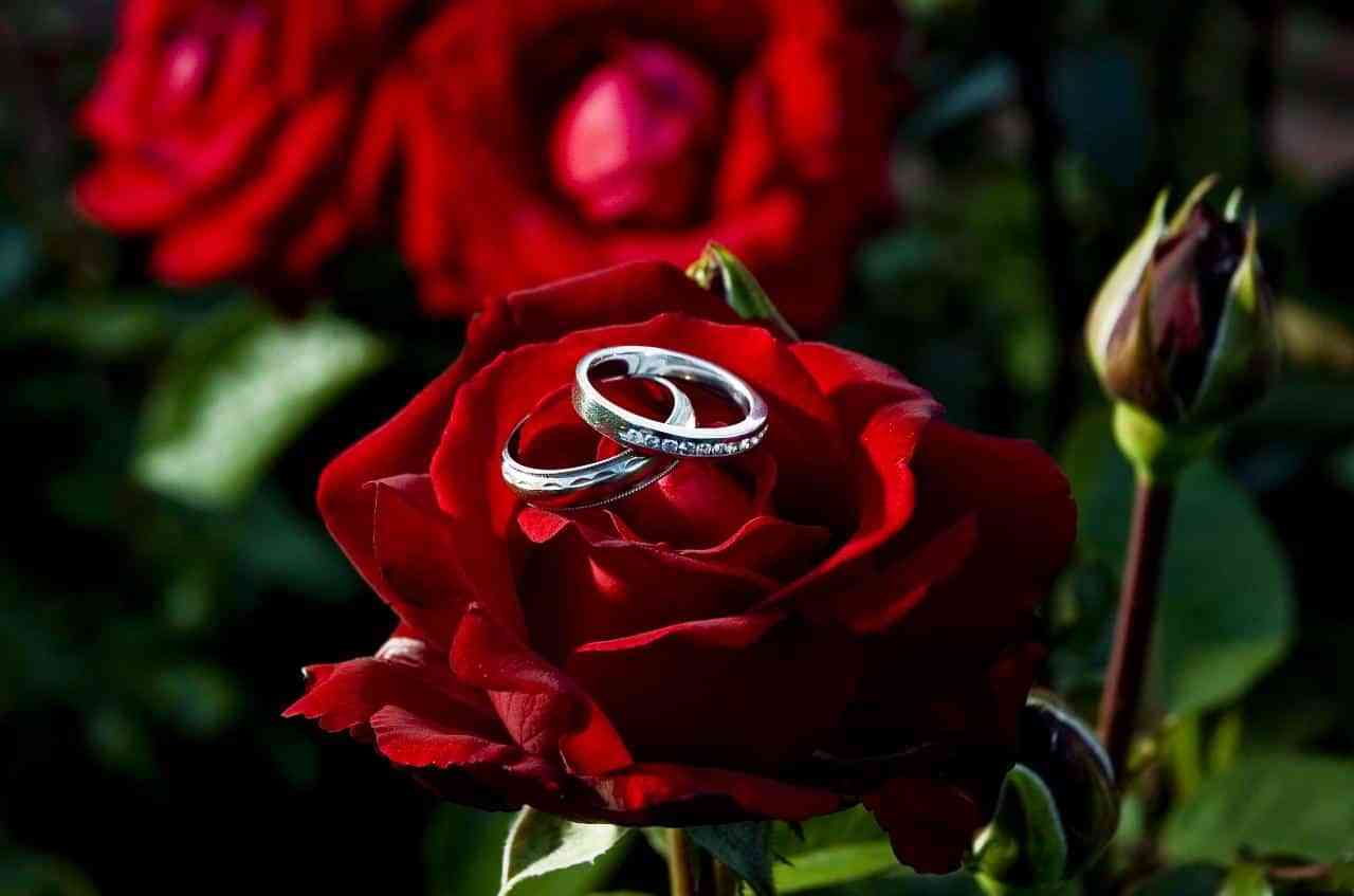rosas-y-anillos Wedding Photography Portland Oregon218231516 large.32385450