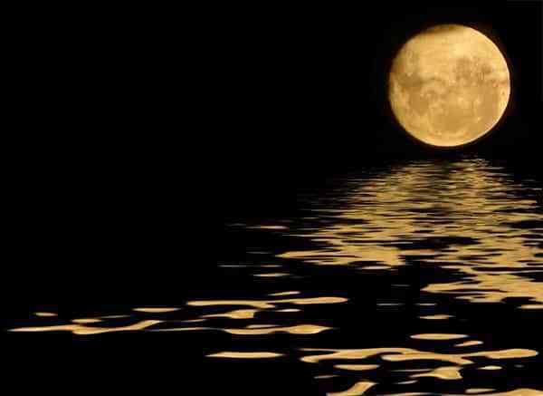 luna-de-miel-eterna.jpg luna de miel eterna