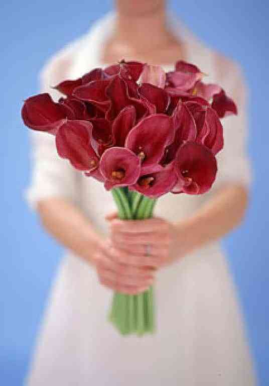 Ramos de novia monoflorales 1 Bouquet de novias monoflorales