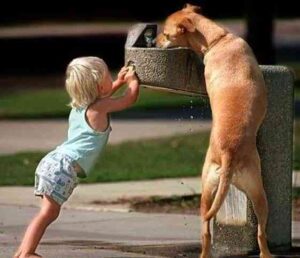 8de40840b6a9d7359dc7620042d90ec5