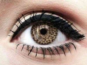 5 formas de lucir Eyeliner 2 tumblr_n0wgi8nfIL1sjv63ko1_500