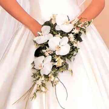 ventaflores31 ventaflores31