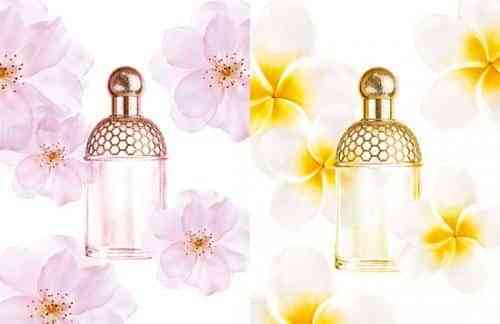 verano-2009_500 verano-2009_500