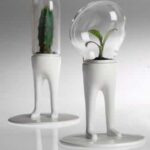 Regala una mascota espacial 1 Una mascota espacial 2