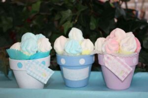 Mini maceteros de chuches 1