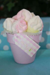 Mini maceteros de chuches 2