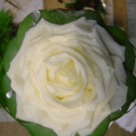 Ramos de novia de rosmelias 12 Ramo de novia de rosmelia blanca 1