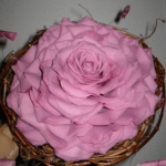 Ramos de novia de rosmelias 5 Ramo de novia de rosmelia rosa