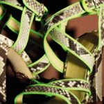 Zapatos Cavalli 2012 3 moda43