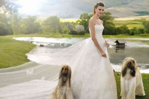 vestidos de novia la sposa 2