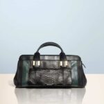 Bolsos de Chloé para otoño 8 bolsos de chloe 8