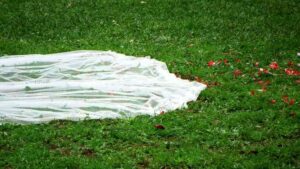 Enfrentar la cancelación de una boda