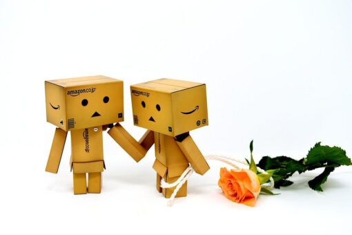 Propuesta de matrimonio