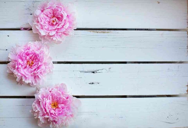 Cómo planear una boda perfecta: Consejos y recomendaciones
